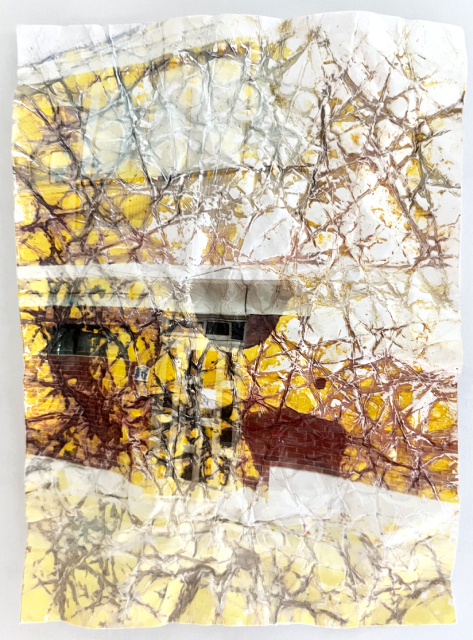Psychogeophysics exploration #1, 2026